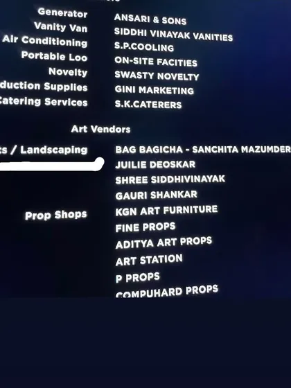 It was such a proud moment to see my company, Baagh Bagicha, in the credits for 'Call Me Bae'. This is a testament to the hard work and dedication my team and I bring to every project.