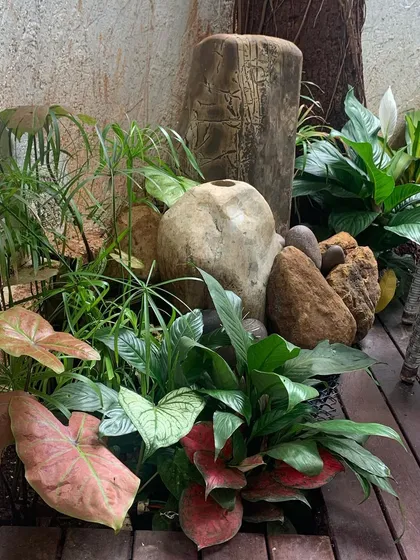 Here is a close-up of a tropical greenscape I created, mixing different leaf shapes, colors, and textures. I used caladiums, peace lilies, and other foliage plants with natural stones and a wooden log to build a rich, layered, and natural-looking corner.