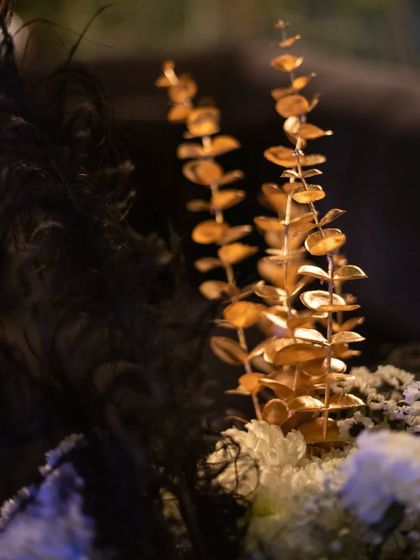 Grand Galas & Opulent Receptions photo 37