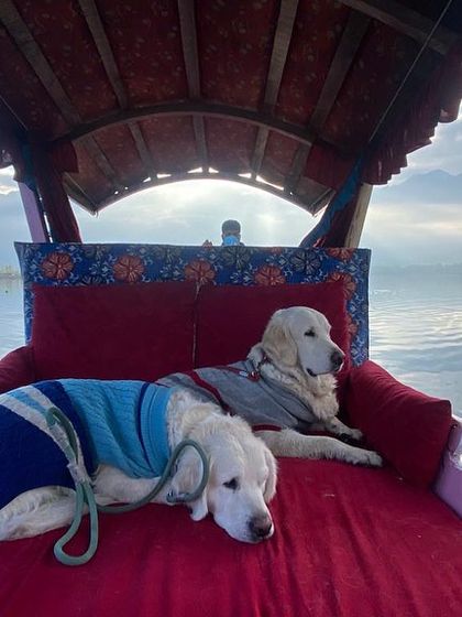 Deepthi - Dog Travel & Adventure Coaching International Diaries: Adventures in Nepal & Bhutan photo 9