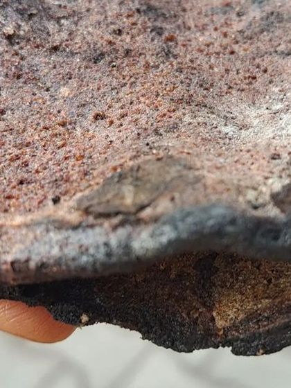 Sneha Kappanna - Theatre, Storytelling & Workshops Stories of Our Land: Cultural Explorations photo 58