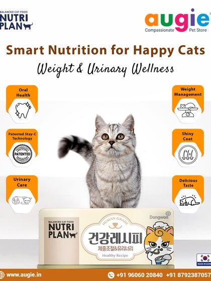 Augie Pets - Pet Supplies For Our Feline Friends: Premium Cat Nutrition photo 30