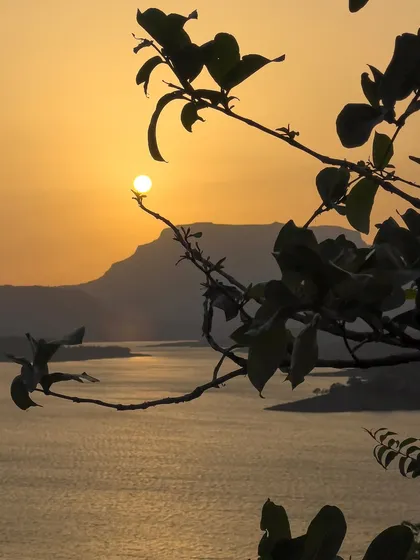 The setting sun is perfectly framed by the silhouette of a branch, appearing like a tiny fruit. This creative and well-timed phone photo was taken overlooking a river at dusk.