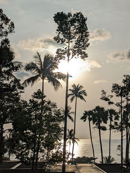 A beautiful sunset silhouette of palm trees against the ocean in Koh Samui. This image perfectly captures the calming, picturesque beauty of a tropical evening.
