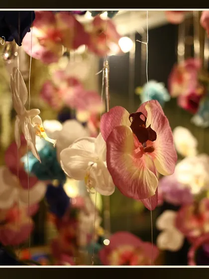A close-up of hanging orchids, part of a larger floral installation. I use this technique to add color and texture from above.