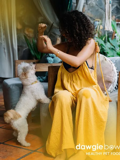 Real love deserves real food. This playful moment is a reminder of the unconditional love our pets give us, and why I believe in rewarding them with the best nutrition possible.
