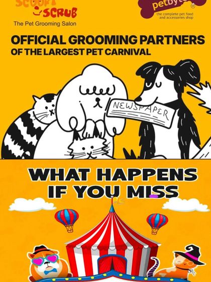 Our Community: Pet Events & Carnivals photo 24