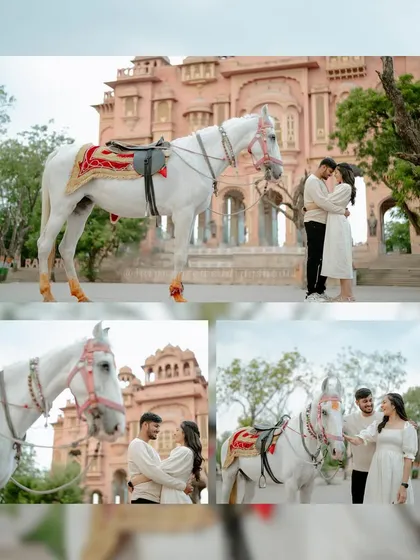 A collage of Anil and Sonal's romantic pre-wedding shoot with a majestic white horse, set against a beautiful heritage building.