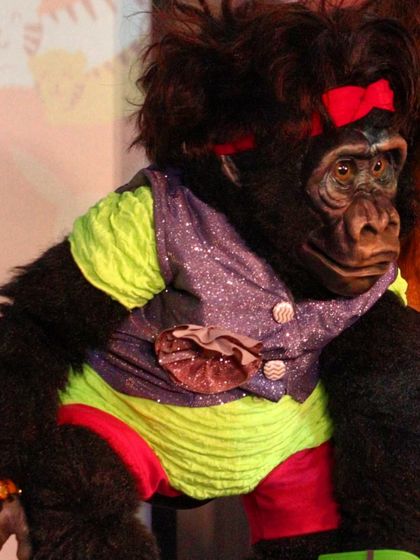 Live Shows: From College Fests to Corporate Gigs photo 5