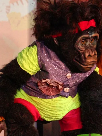 Nikki, ready for his close-up. Dressed in his colorful outfit, he's always ready to steal the show and the hearts of the audience, whether it's a kids' party or a large festival.