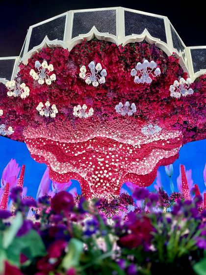 Bold & Vibrant Celebrations photo 38