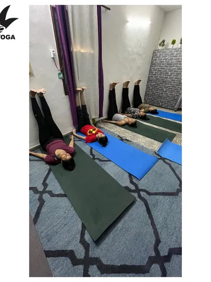 Students practicing Viparita Karani, or Legs Up the Wall Pose. This is a wonderfully restorative inversion that helps with circulation and calms the nervous system, a perfect end to a dynamic class.