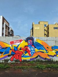 Custom Graffiti Murals