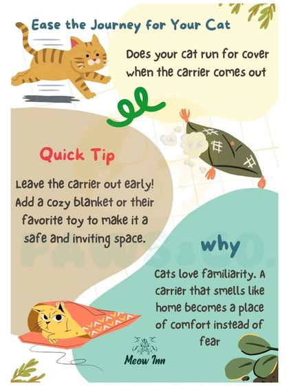 Meow Inn - Cat Hotel & Boarding Your Guide to Feline Wellness photo 23