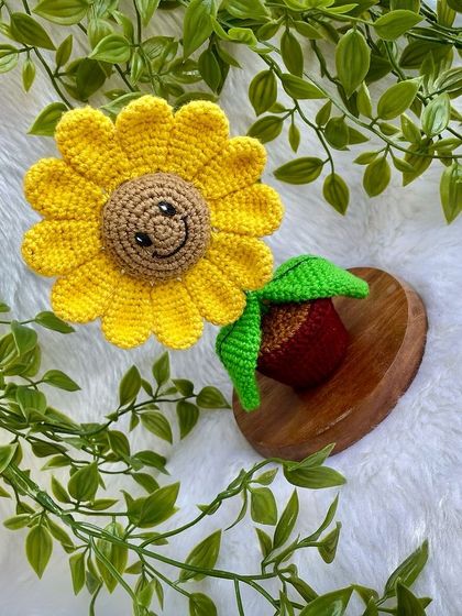 A top-down view of the smiling sunflower pot, showing its happy face looking up at you.