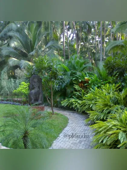 A view from the colonnade into a lush garden. We designed this path to meander through a dense planting of palms and flowering shrubs, leading to a statue that acts as a destination and focal point.