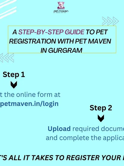 We've streamlined the entire pet registration process into two simple actions. Just fill out the online form and upload your documents. We handle all the legwork after that.