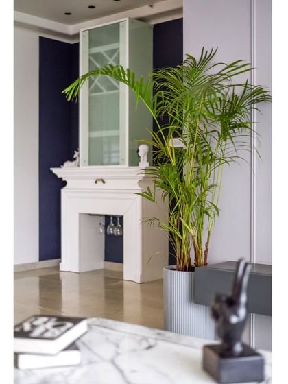 Project YBJ: European Elegance in Mumbai photo 35