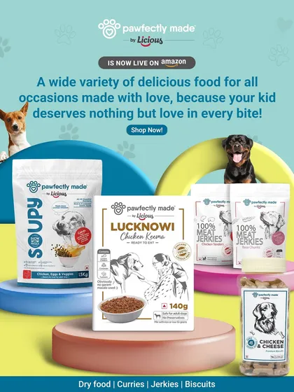 We have something for every craving. From our Soupy meals and Lucknowi Chicken Korma to high-protein Meat Jerkies and crunchy Chicken & Cheese biscuits, every bite is packed with love and human-grade ingredients. Find our full range on Amazon.