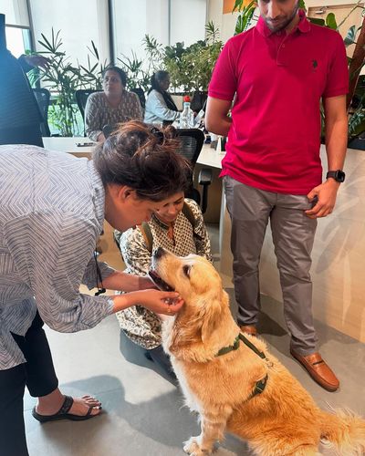 Dog Training & Behavior Modification