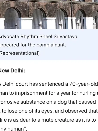 A news report mentioning my role as the advocate for the complainant in the case where a man was imprisoned for throwing a corrosive substance on a dog.