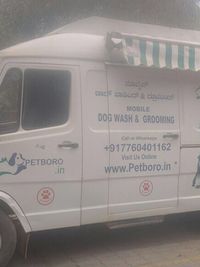 Dog Grooming