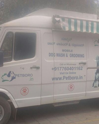 Dog Grooming