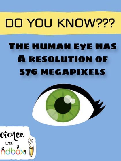 Did you know the human eye has a resolution of 576 megapixels? We explore the amazing capabilities of our own bodies through incredible science facts.