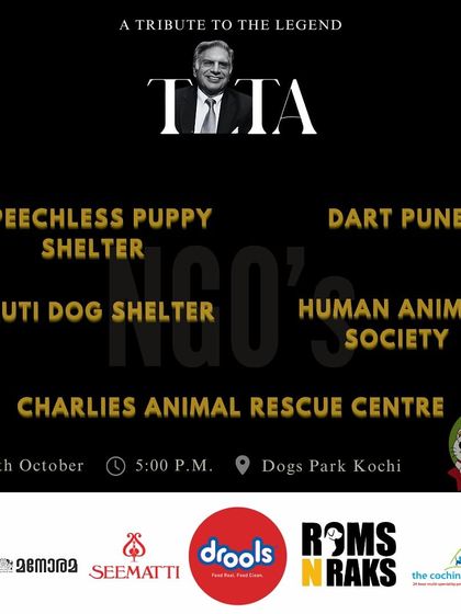 Charlie's Animal Rescue Centre - Community Outreach & Education The Power of Partnership: Corporate & Community Support photo 30