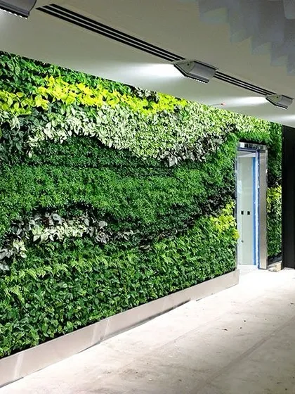 We bring nature indoors with stunning vertical gardens, like this one in a corporate hallway. These living walls are perfect for modern offices, improving air quality and creating a vibrant atmosphere.