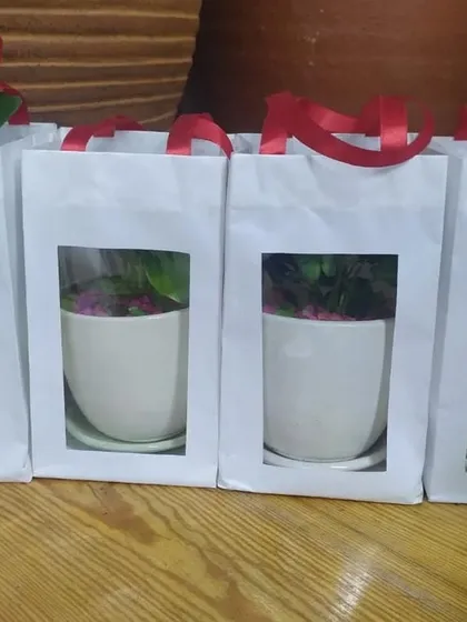 Each wedding favor is individually packaged with care. Here, our plant gifts are lined up in white window bags with red ribbon handles, ready for the special event.