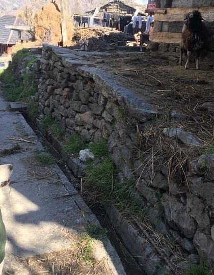 Deepthi - Dog Travel & Adventure Coaching Mountain & Trail Expeditions photo 30