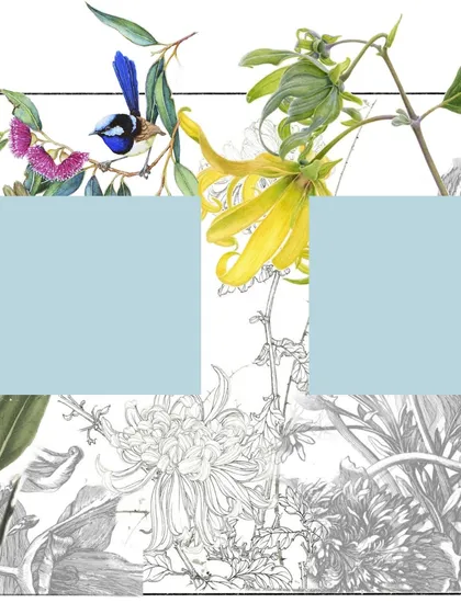 A digital mood board or concept collage for the 'A Tonic Of Calm' mural. This combines botanical illustrations, color blocks, and sketches to define the visual direction of the project.
