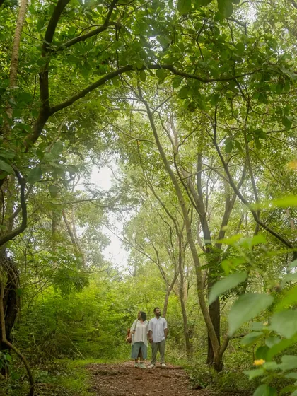 A wide shot of the couple walking through a lush green forest path. It captures the feeling of being small in a big, beautiful world, together.