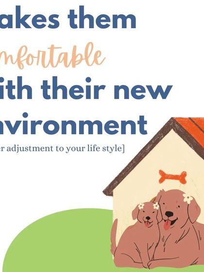 A socialized dog is more comfortable in their environment. This helps them adjust to your lifestyle and be a happy, easygoing companion.