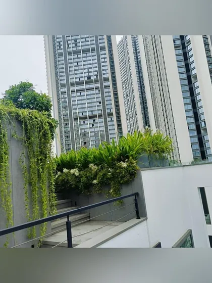 Cascading plants spill over a concrete wall on this rooftop, softening the architecture and creating a living curtain of green. This technique is highly effective for adding texture and dynamism to vertical surfaces.