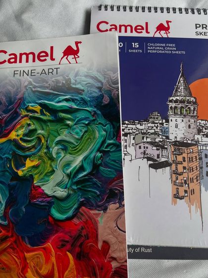 Behind the Easel: My Process, Workshops, and Exhibitions photo 28