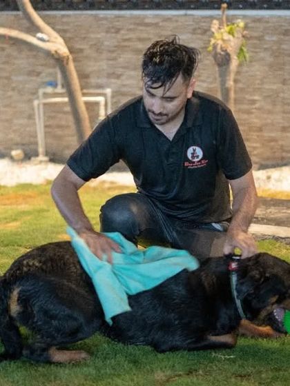 Even after playtime, we make sure our guests are comfortable. Here, a staff member gently dries off a happy Rottweiler after his swim.