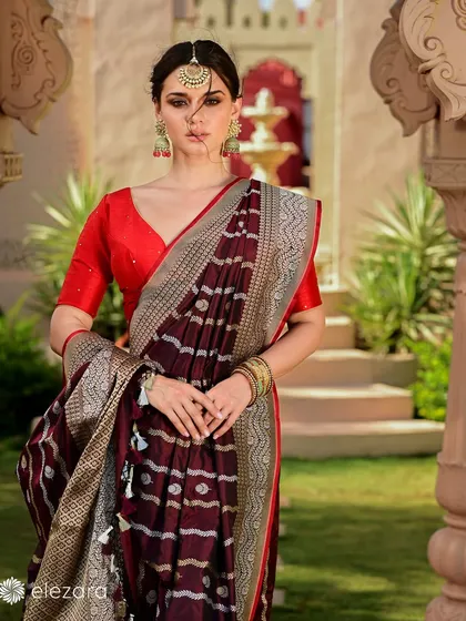 A model for the brand Elezara in a deep maroon saree with delicate silver patterns. The grand, palace-like architecture in the background adds to the regal and luxurious feel of the campaign.