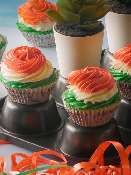 Festival Collection photo 16