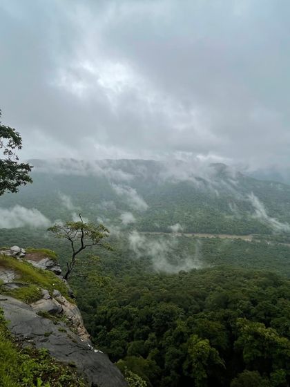 A lone tree on a cliff edge overlooking the misty valley at Jenukallu Gudda, a perfect spot for reflection.