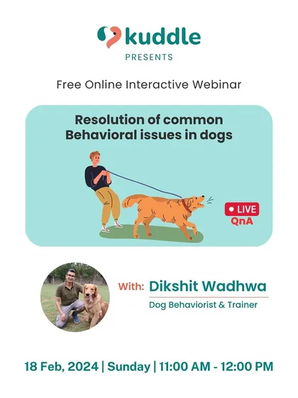 This graphic announces my free online masterclass on resolving common behavioral issues. These sessions are interactive, allowing you to ask questions and get personalized advice for your specific challenges.