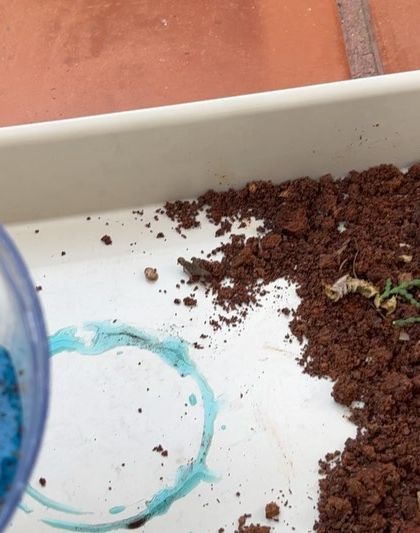 My Philosophy: Simple, Safe, and Child-Led photo 73