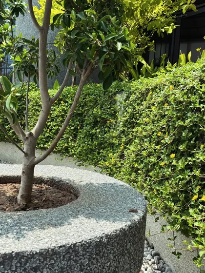 A close-up of a custom concrete planter, showing the texture of the material and the detail of the planting. Every element is chosen to contribute to the overall design narrative.