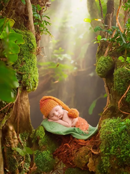 This composite image features a baby in an orange pixie hat sleeping on a leaf, nestled between mossy trees with a beautiful ray of light shining down.