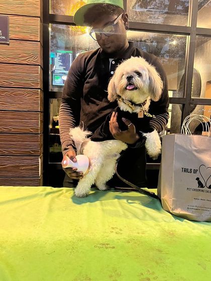 Tails of the City - Pet Supplies Deals, Discounts & Fun Events photo 6