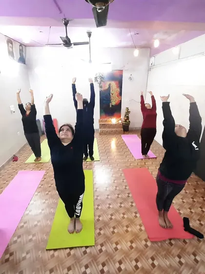 Students in Urdhva Hastasana (Upward Salute), the second pose in Surya Namaskar. This image captures the energy and synchronization of a group class.