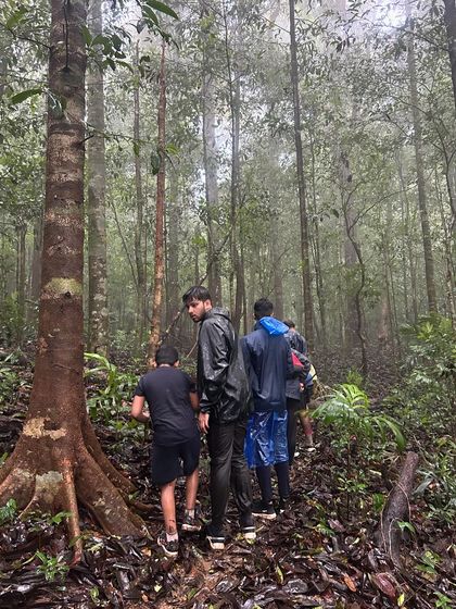 A group navigating a narrow path in the deep jungle, surrounded by tall trees and the sounds of nature.