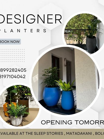 Poornima Shetty - Residential & Commercial Landscaping Visit Our Store photo 6