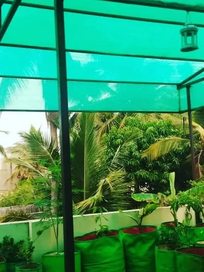 Protecting your plants from intense sun is crucial, especially on a terrace. I install green shade netting on a sturdy frame, which filters the sunlight and keeps your plants from getting scorched.